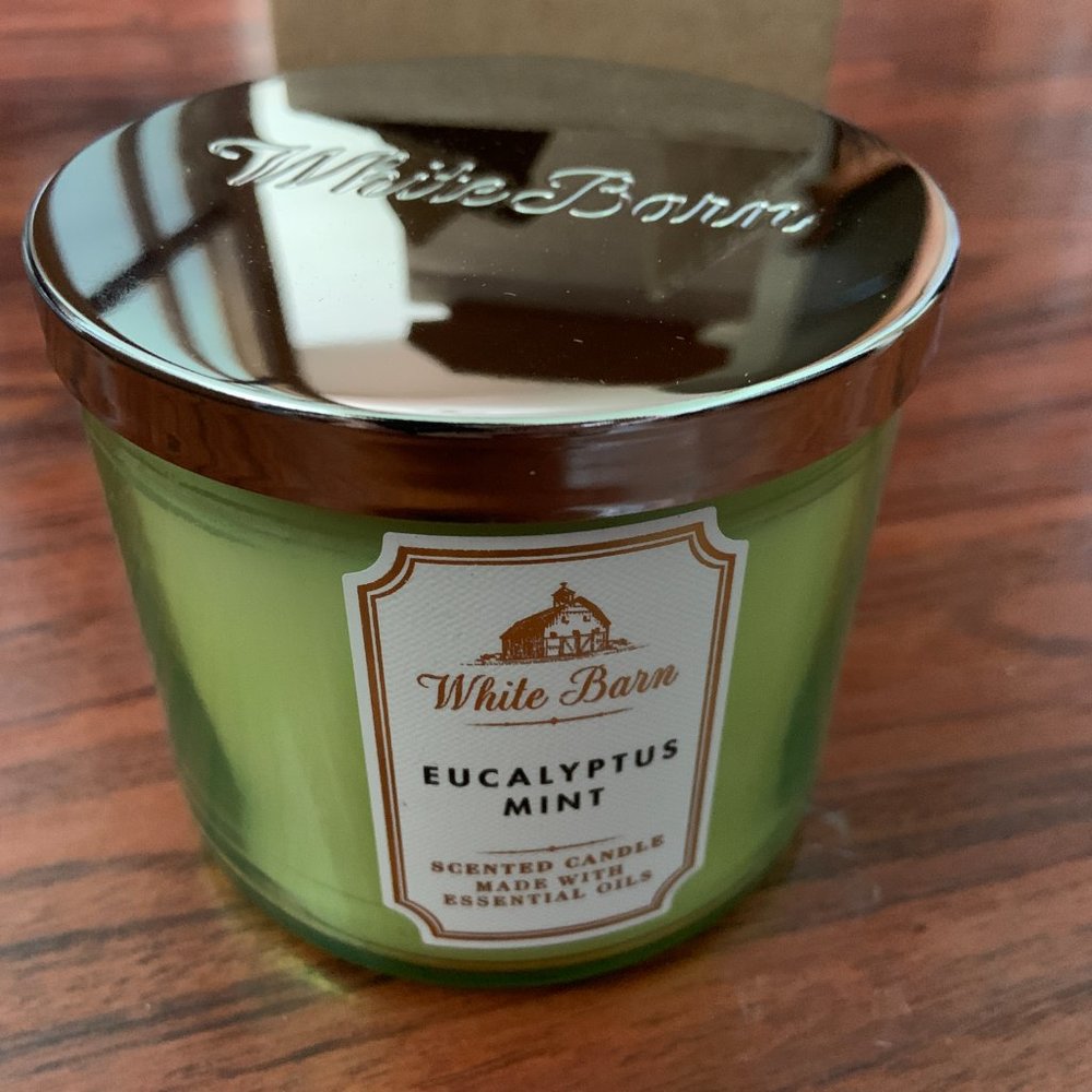 Bath & Body Works Eucalyptus Mint 3-Wick Candle – NWT